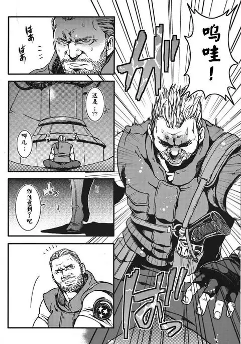 The MERCENARIES