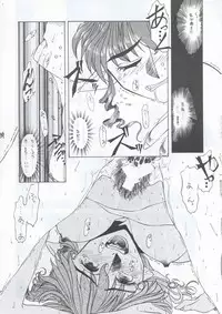 (C63) [Fresnel Lens (Hirano Kana)] Sai (Bishoujo Senshi Sailor Moon, Sentimental Graffiti, Martian Successor Nadesico)