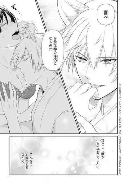 [Yuisaki Umi] Oinu-sama no Kamikakushi Kon 1-4