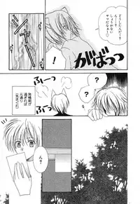 [Anthology] Pure Petit Vol. 6