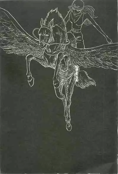 Gekiga Yapoo Shoutai