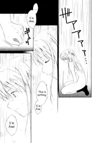 (C65) [Aion (Amou Mari)] Random Ni Saku Nobe No Hana Ni | The Random Blooming of Flowers in the Field (Full Metal Alchemist) [English] [HMedia]