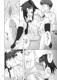 (CR36) [SEITOKAISHITSU (Akimoto Dai)] HEAT THE HEART! (Fate/stay night)