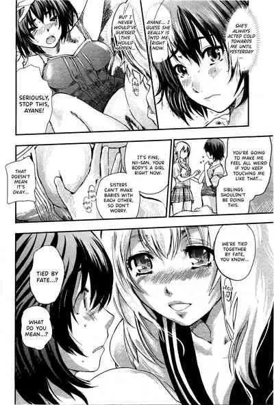 Kinoko Panic | Mushroom Panic