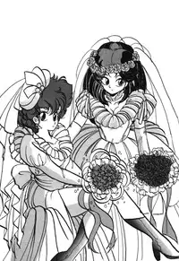 [Ashanti] RABBIT CARNIUAI (Dirty Pair)