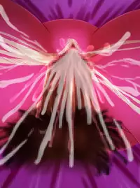 [Arion Canvas] JK Senshi-sama ni Haiboku! Okinuke BAD Morning2 (Smile Precure!)