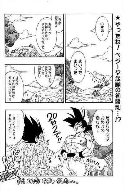 Dragonball Fan Book SPLASH!!!