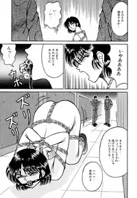 [Kesshousui] Otome no Seikanritsu