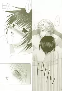 [LOVESEAT (Yuhka, Michiyo)] Perfect Crime #2 (Gundam SEED)