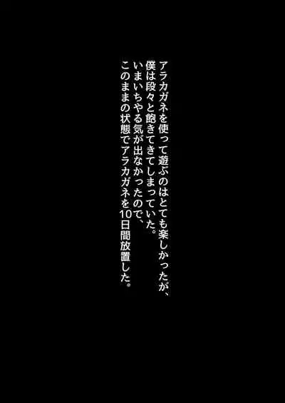 Kikou Senshi Arakagane 3