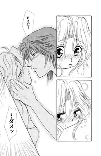 Darenimo Ienai Maru himitsu + vol.12 Forbidden Love