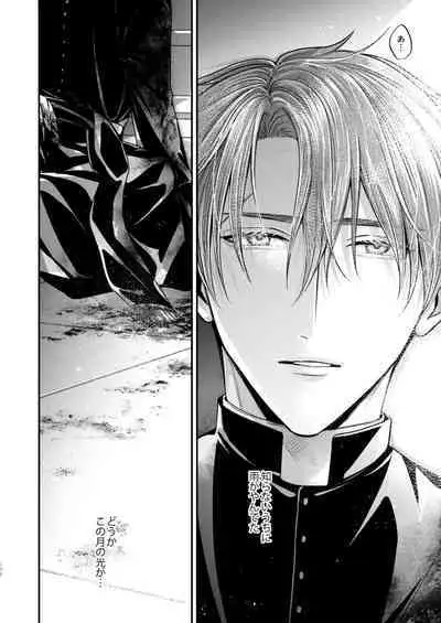 Night under the midnight sun ✜ Ⅱ