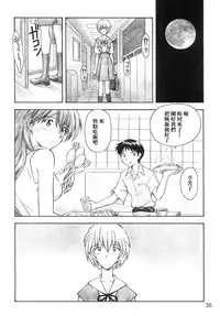 (C66) [TENGU NO TSUZURA (Kuro Tengu)] YAMMY? (Neon Genesis Evangelion) [Chinese] [surely個人漢化]