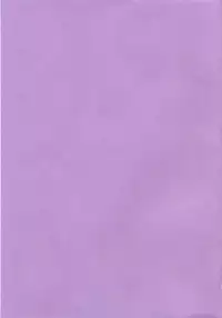 [Chitose Rin] Mijuku na Kajitsu Vol.2