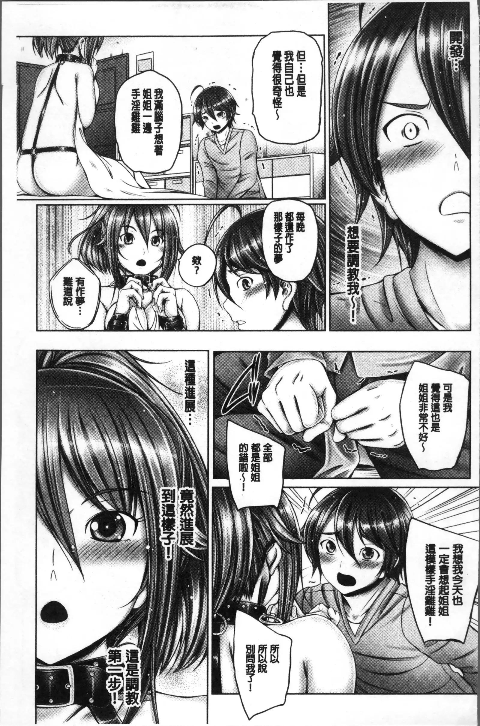 Anethurium | 淫姊火鶴紅花