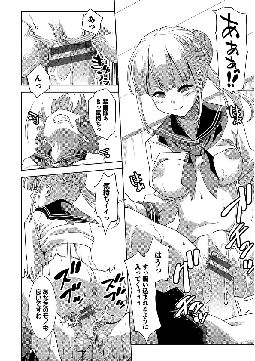 パコほーだい