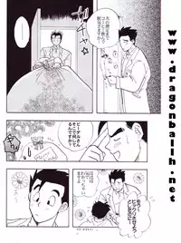 [Shouji Haruzo] Dragon Ball Z - Wakayo