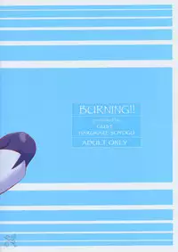 (C67) [GUST (Harukaze Soyogu)] BURNING!! (Mobile Suit Gundam Seed Destiny) [English] [SaHa]