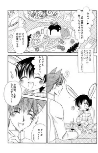 (C69) [Mariana Kaikou Kikaku (Mikami Hokuto)] Usazukintan. San