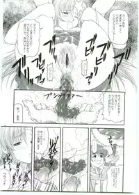 [Otogiya] ...Shinai no? Meer Sensei -C69VERSION- (Jidou Senshi Gundam SEED DESTINY / Mobile Suit Gundam SEED DESTINY)