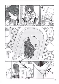 (C78) [Juicy Fruits (Satomi Hidefumi)] Bou Yuumei Koukou Joshi Toilet Tousatsu 2-jigen Bishoujo Hen Vol. 4 (Clannad)