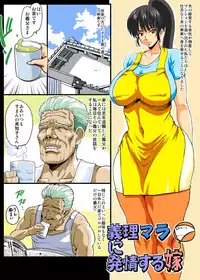 [Lunaterk] Giri Mara ni Hatsujou Suru Yome