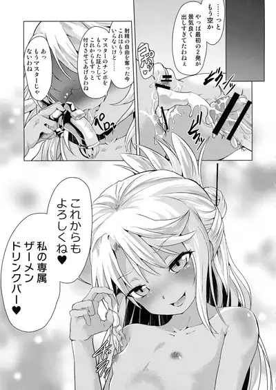 (C97) [Pritannia (Puri, Puritei)] Pritannia Soushuuhen Prisma Bitches (Fate/Grand Order, Fate/kaleid liner Prisma Illya)