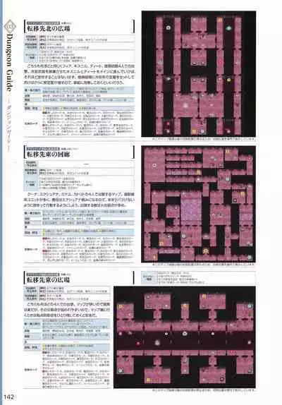Amayui Labyrinth Meister Perfect Guidebook