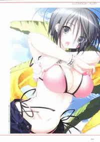 Sakura Sakura Visual Fan Book