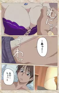 [Cyberworks/TinkerBell] [Full Color Seijin Han] Aniyome wa Ijippari #01 Complete Ban [Digital]