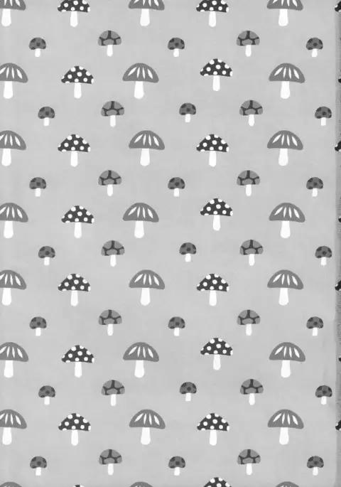 Aqua-san wa, Ippai Kawaii