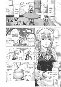 (C81) [Pigeon Blood (Asou Shin)] LOVE OR LUST (Touhou Project) [English]