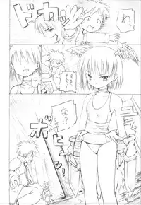 (CR34) [PARANOIA CAT (Fujiwara Shunichi)] Himitsu no Guild ni Goyoujin vol. 3 (Ragnarok Online)