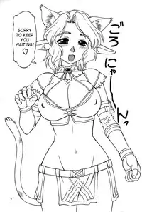 (C68) [Jack-O'-lantern (Ebifly, Neriwasabi)] Neko Panchu (Final Fantasy XI) [English] [SaHa+desudesu]