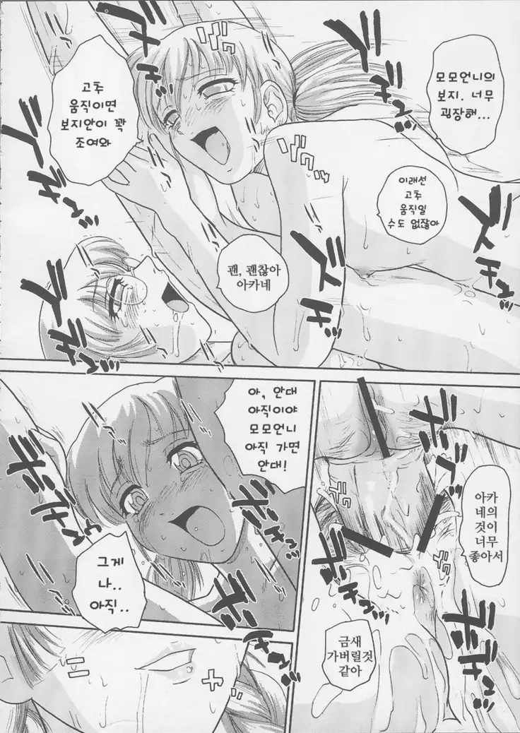 ダルシーレポート 6