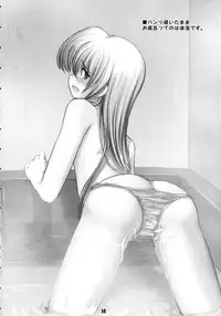 (C65) [RUBBISH Selecting Squad (Namonashi)] Shichuu ni Katsu (Deus Machina Demonbane)