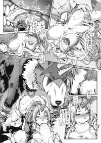 EMPIRE HARD CORE 2019 SPRING