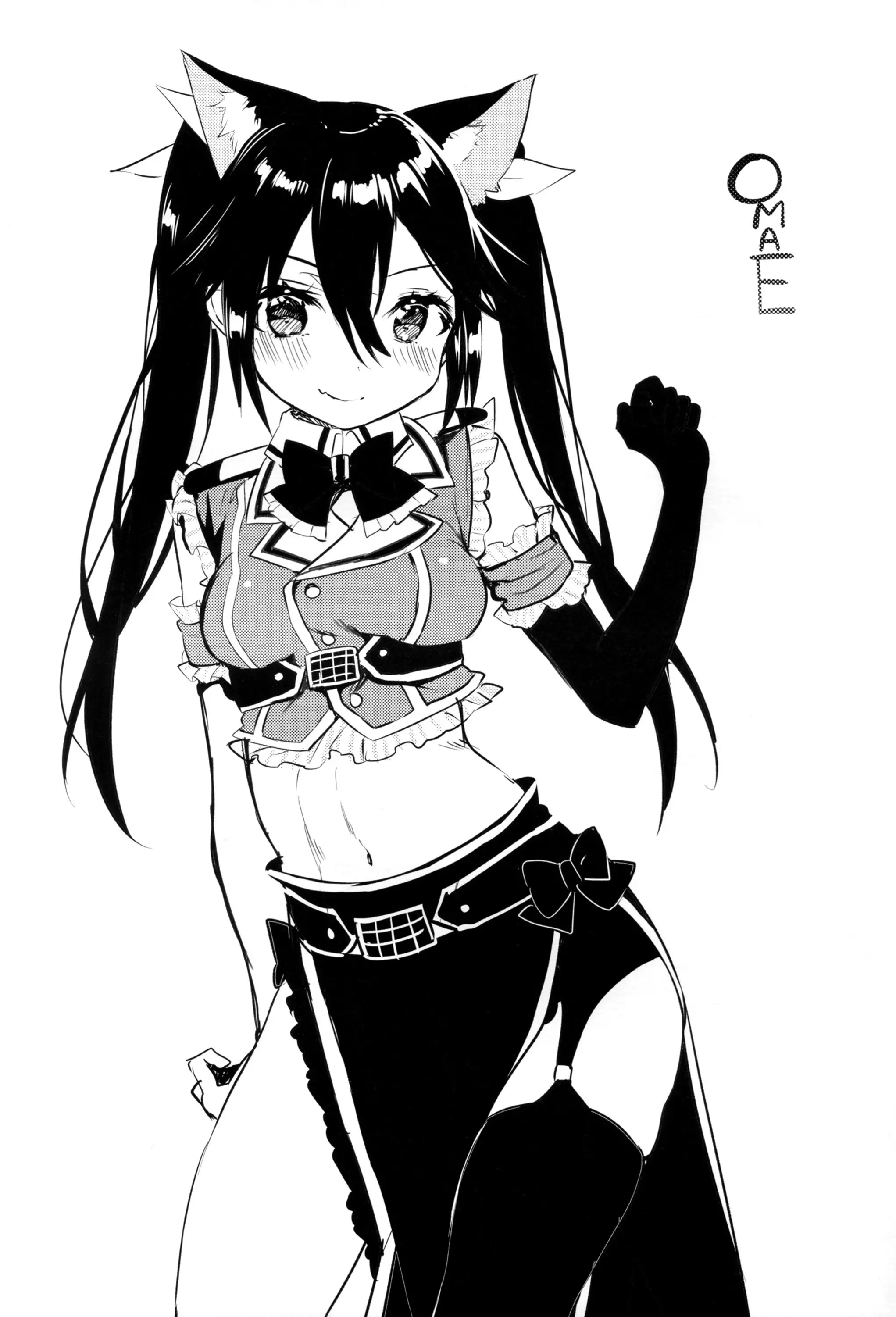 Neko-gata Catapult
