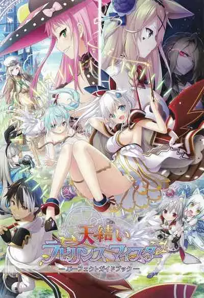 Amayui Labyrinth Meister Perfect Guidebook