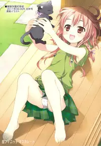 (C81) [Yan-Yam] Infinite Masquerade (Infinite Stratos)