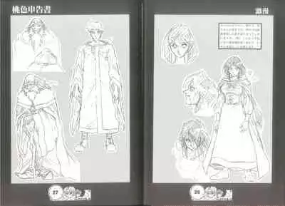 桃色申告書 ver.MILLENNIUM FALCON