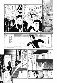 [Setsuna] Hoshikuzu Sakura | STAR DUST CHERRY TREE.