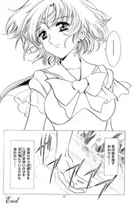 (C64) [Hen Rei Kai (Kawarajima Koh)] Amihota Side:C (Bishoujo Senshi Sailor Moon)