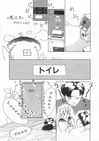 [Himuro Serika] Mahou no Sailor Fuku Shoujo Ikuko-chan