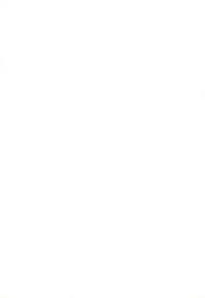 [Nininini (DANGAN)] MAEBARI GRAPHICA