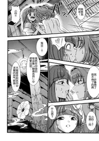 (Reitaisai 12) [Koutetsu (Satou Hagane)] Touhou Suzunaan Hinoenma Hiroku - Kyuusei Douin Hen (Touhou Project) [Chinese] [CE家族社]