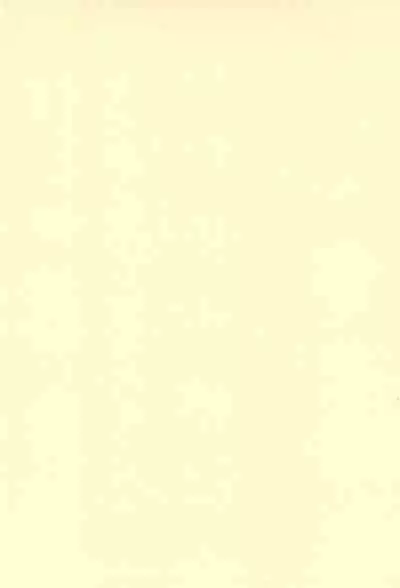 Okosama Daimyoujin 2