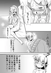 [Chinshieden (Yukibana)] Hime do Yuusha no Hyrule Nichijou (The Legend Of Zelda) [Digital]