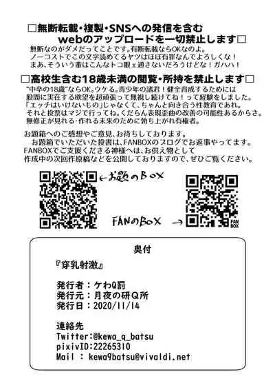 [Tsukiyo no KenQjo (Kewa Q Batsu)] Sennyuu Shageki [Digital]