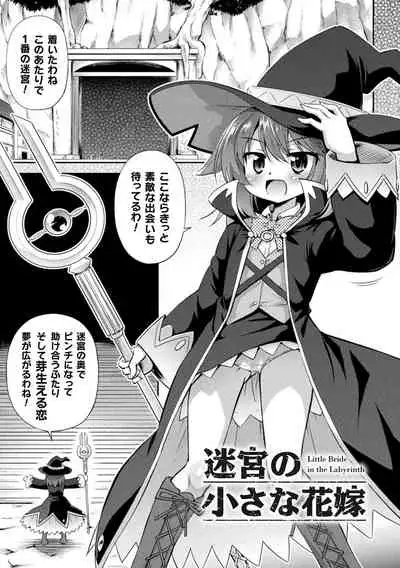 [Hino Hino] Mesuochi Little Hole [Digital]